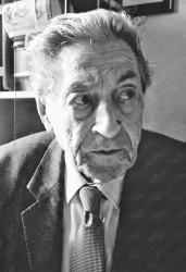 Elio Mariani